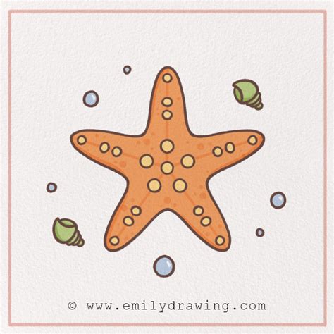 How to draw a starfish .
